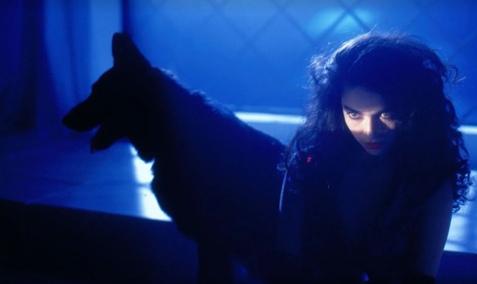  Divulgação/Memória Globo