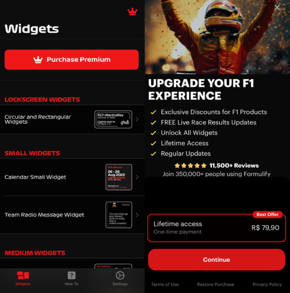  Reprodução/Paola Mansur