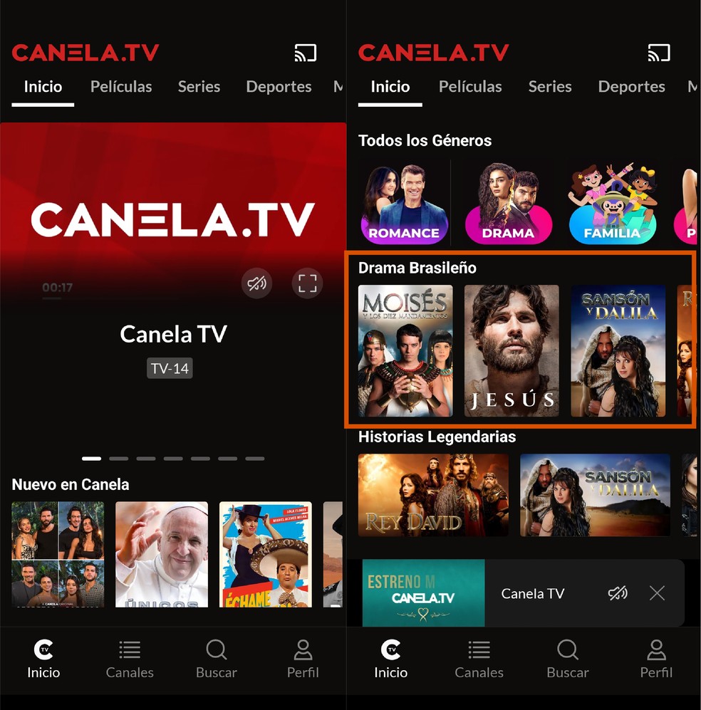  Reprodução/Paola Mansur