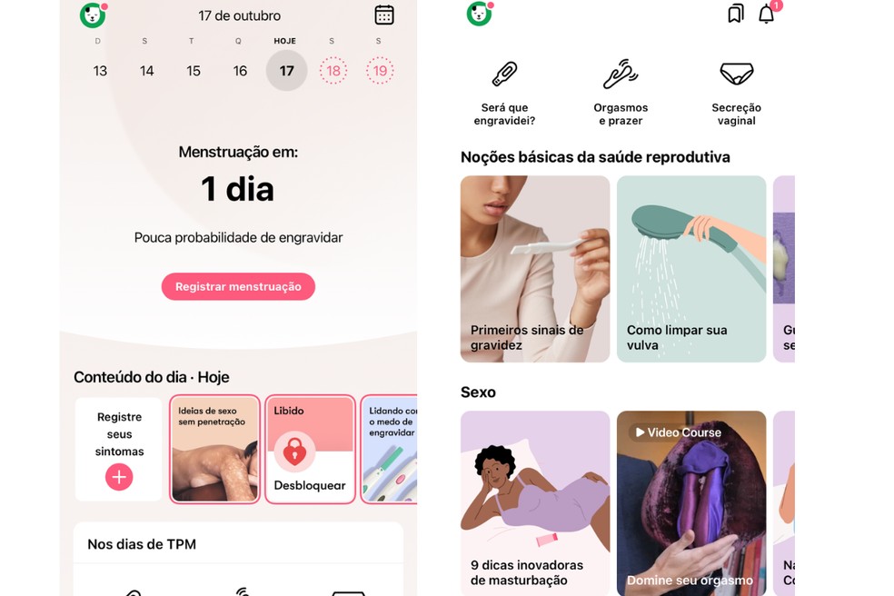 Flo reúne bem-estar e saúde em sua interface