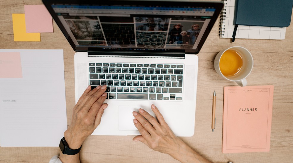 Selecione a ferramenta para criar o portfólio online — Foto: Reprodução/Canva