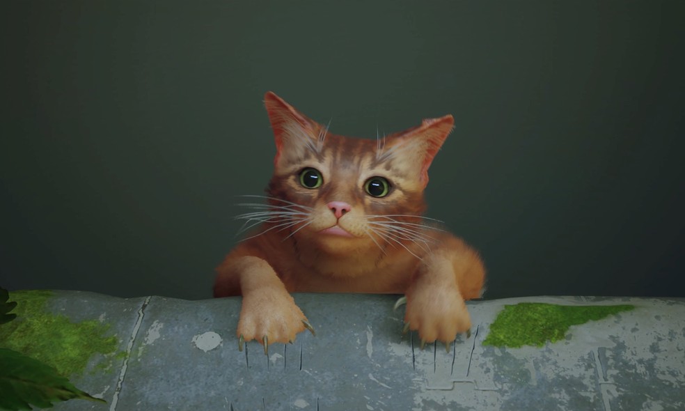  Reprodução/Luiza M. Martins