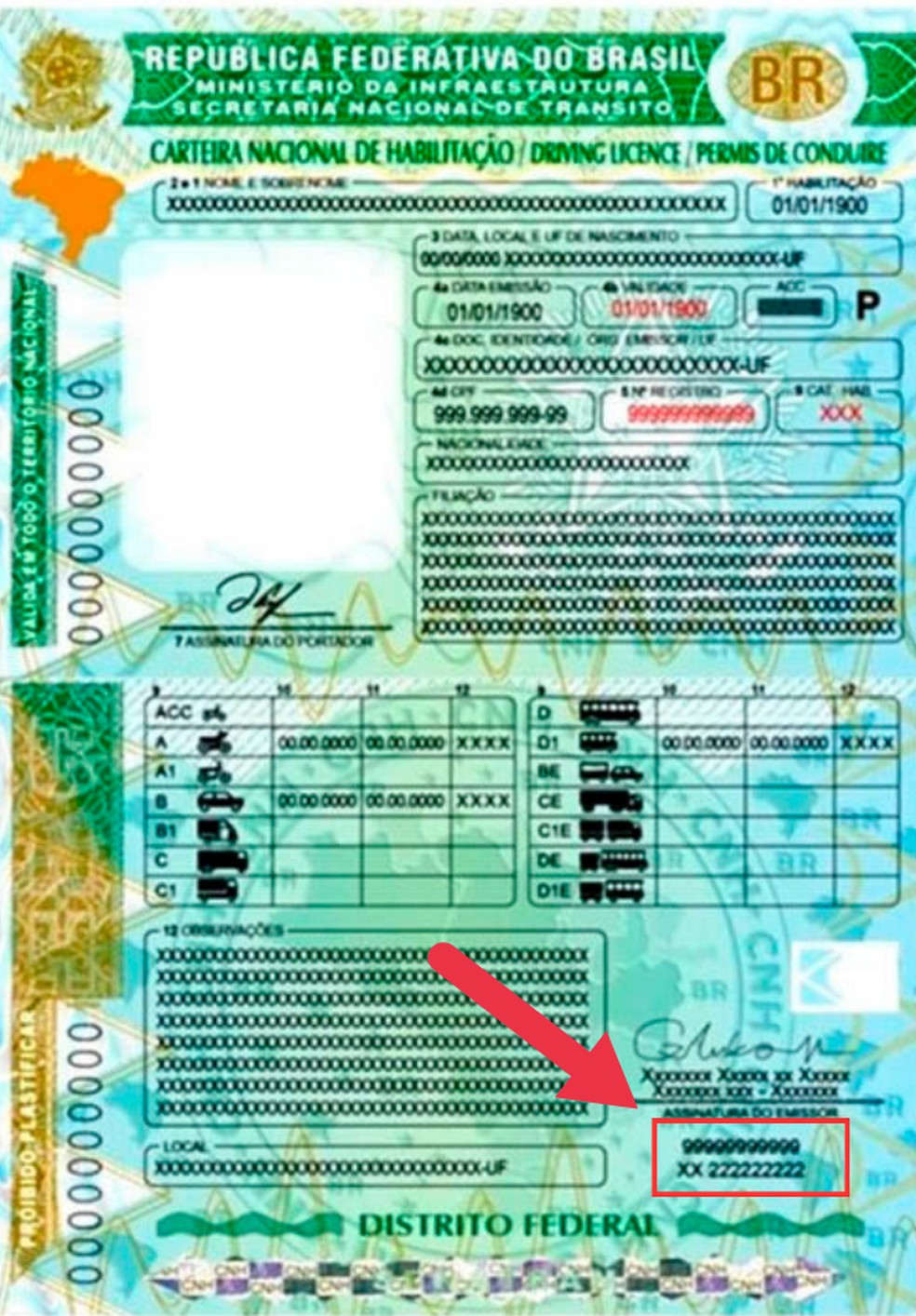 O código de segurança e o número do formulário RENACH estão na parte traseira do documento — Foto: Divulgação/CONTRAN