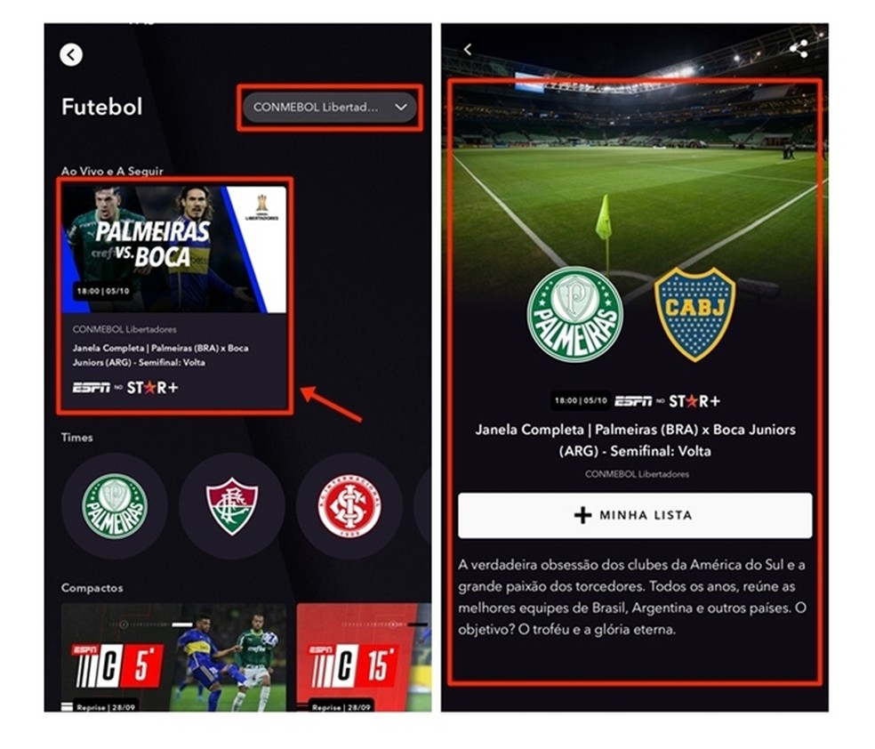 Onde assistir: Palmeiras x Boca Juniors ao vivo e online vai