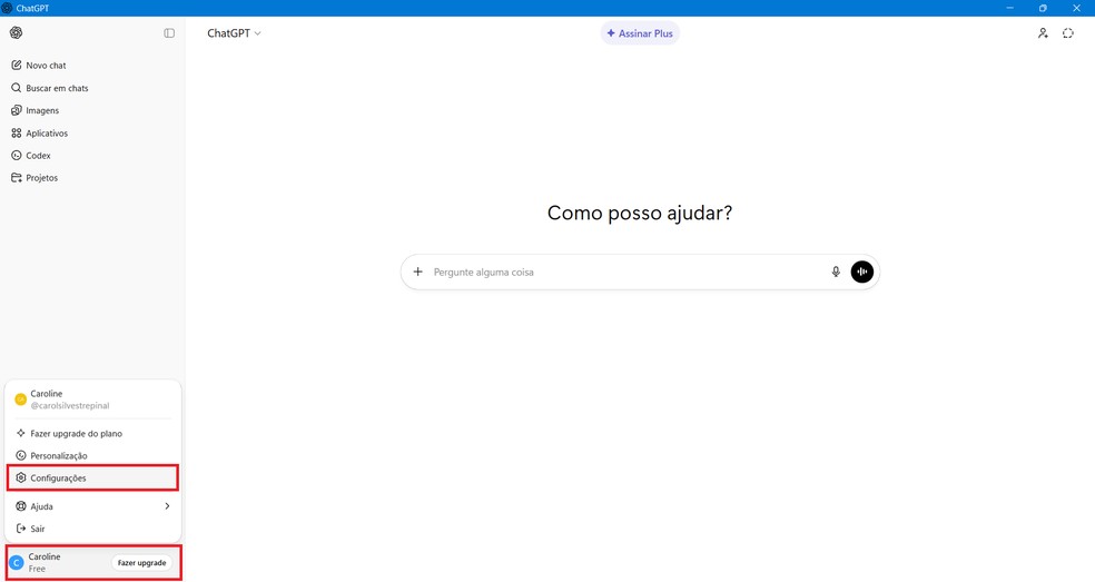  Reprodução/Caroline Silvestre