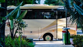Não são só os idosos! Veja quem pode ter direito a passagem gratuita