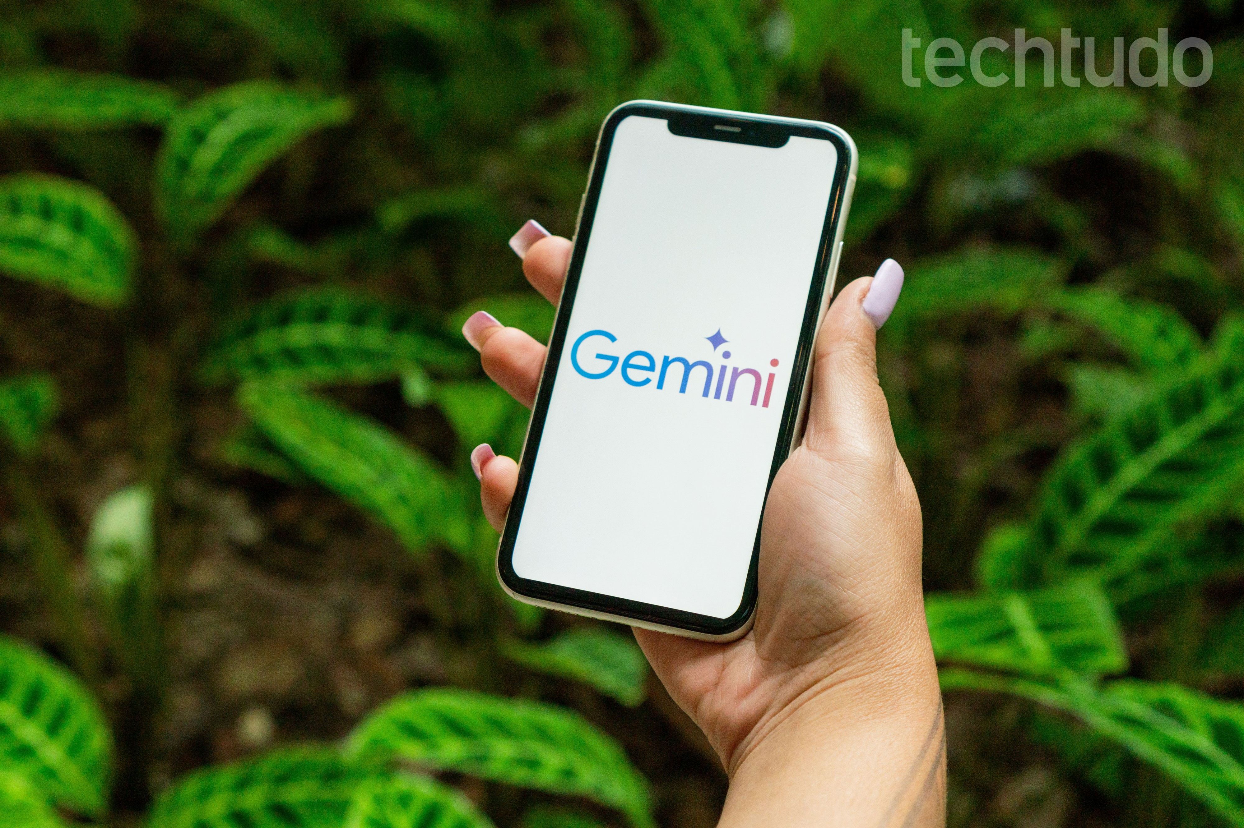 Gemini Live permite buscas com câmera e compartilhamento de tela; entenda