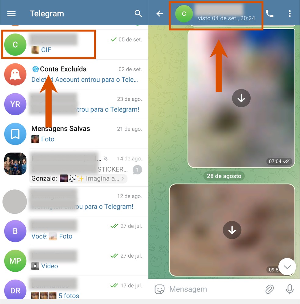  Reprodução/Paola Mansur