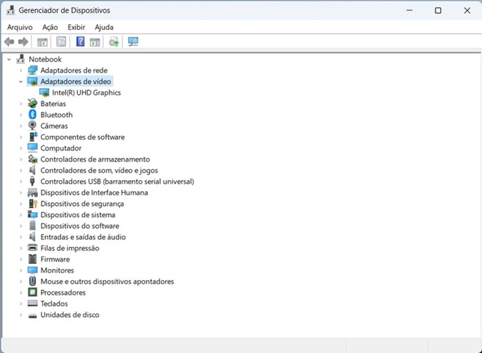 Gerenciador de dispositivos do Windows: adaptadores de vídeo indica qual GPU está em uso. — Foto: Reprodução/Fernando Sousa