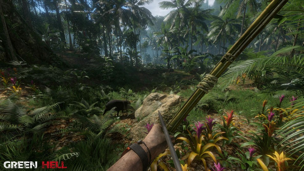 Green Hell é um intenso e realista jogo de sobrevivência na floresta amazônica — Foto: Reprodução/Steam