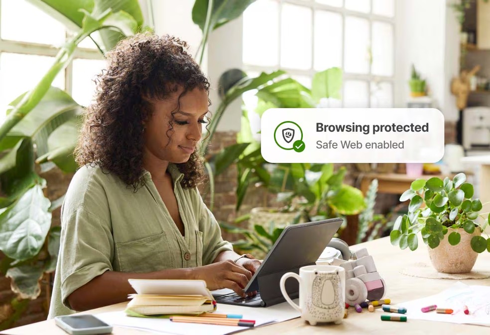  Reprodução / Norton