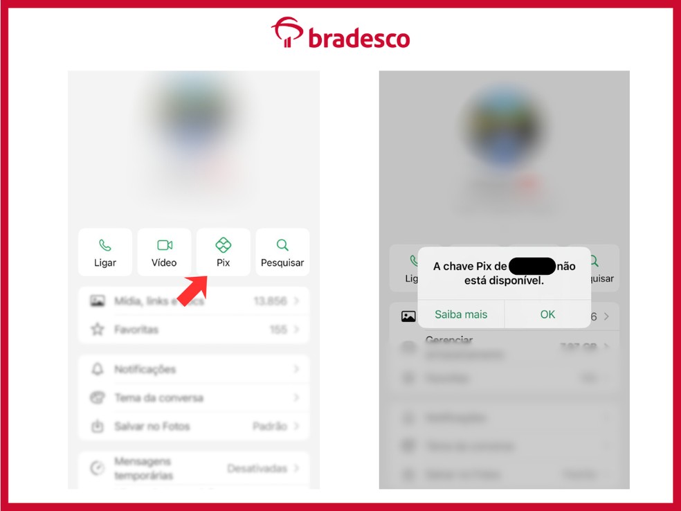  Marcos Vinícius Pereira / TechTudo