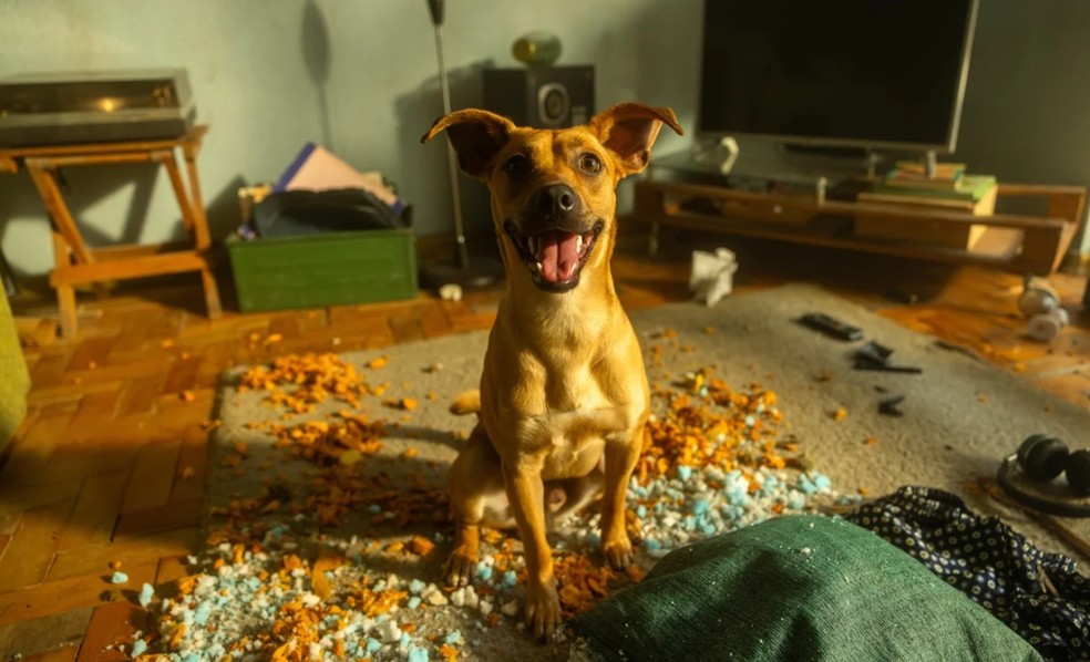  Divulgação/Netflix