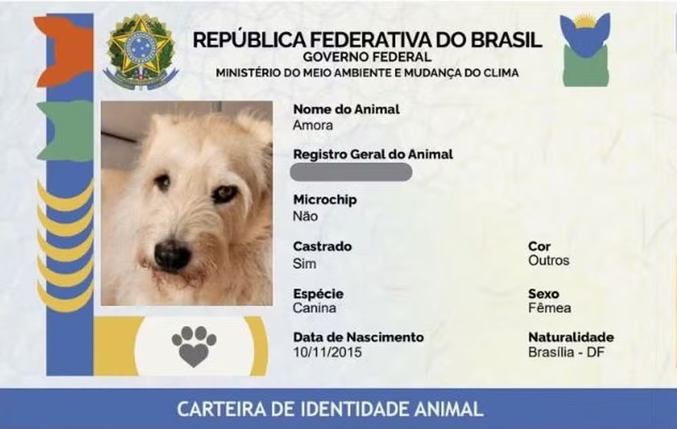 Confira passo a passo para fazer o RG de animais domésticos, como cães e gatos — Foto: Reprodução/G1