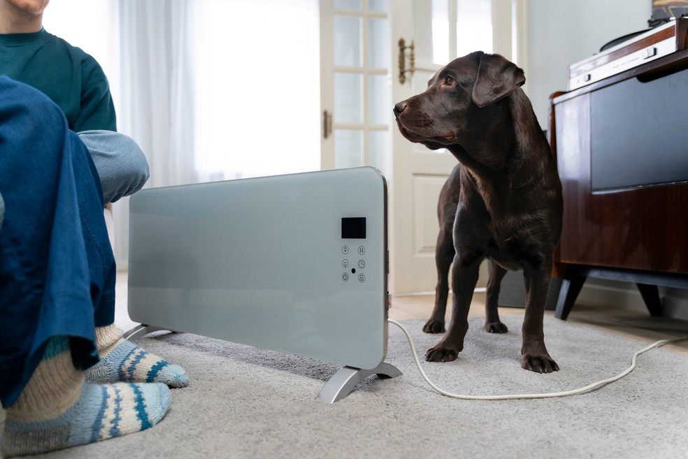  Reprodução/Freepik