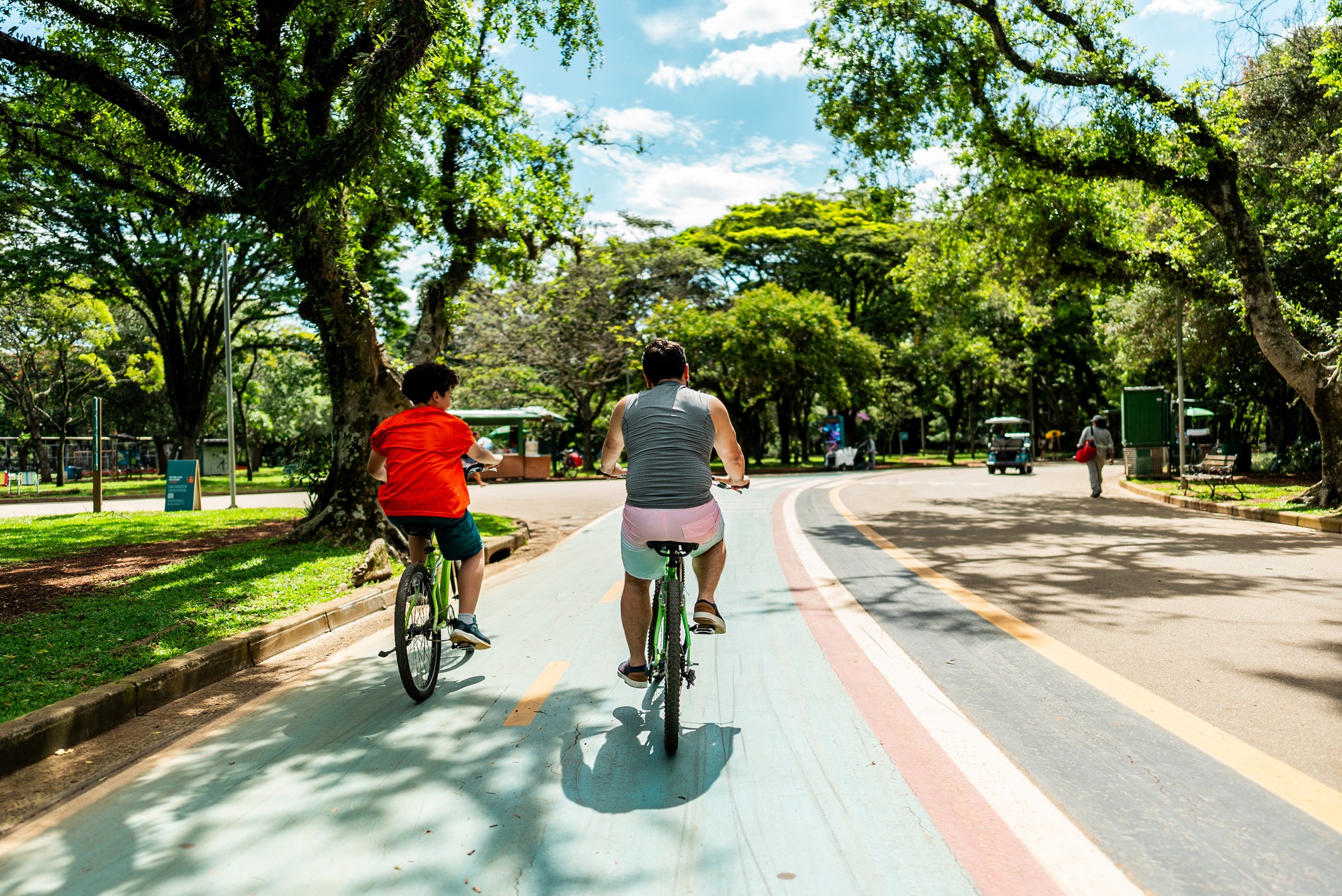 Aplicativo mostra rotas e atrações do Parque Ibirapuera; saiba como usar