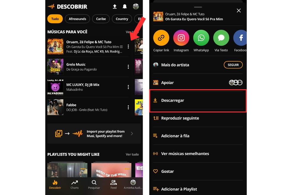 Em poucos cliques, o usuário pode baixar uma música no Audiomack