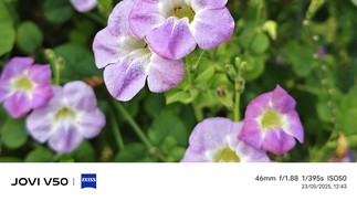  Ana Letícia Loubak/TechTudo