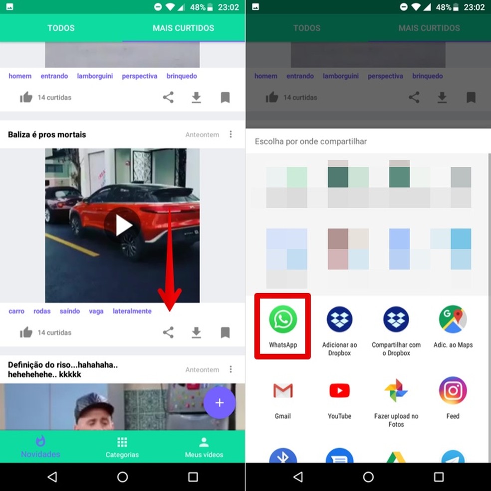 Vídeos engraçados para WhatsApp: saiba como baixar e compartilhar