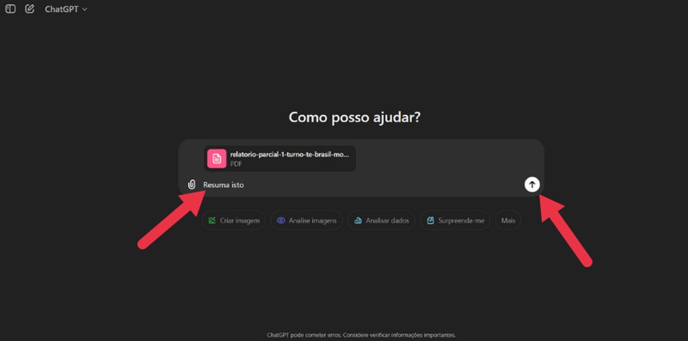 Insira o comando desejado e envie — Foto: Reprodução/ChatGPT