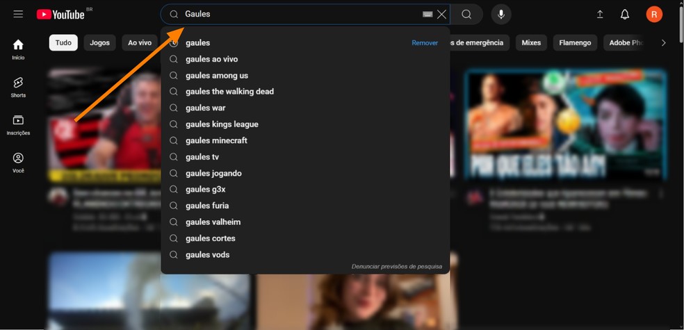 Busque por 'Gaules' ou 'PGL' — Foto: Reprodução/Róbson Martins