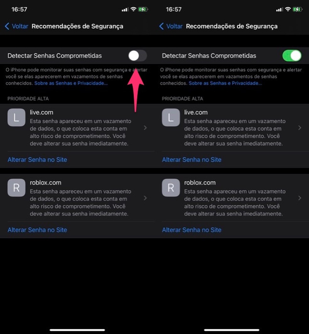 Ação para ativar o recurso para detectar senhas comprometidas do iPhone — Foto: Reprodução/Marvin Costa