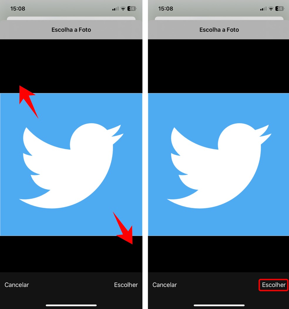 Ajuste o ícone do passarinho para voltar o logo do Twitter ao app X — Foto: Reprodução/Rodrigo Fernandes