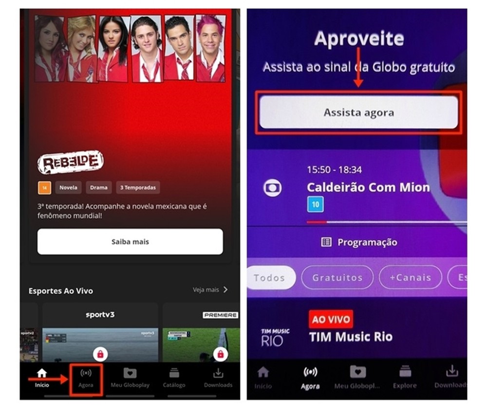 Palmeiras X Vasco Ao Vivo Veja Horário E Onde Assistir Ao Brasileirão