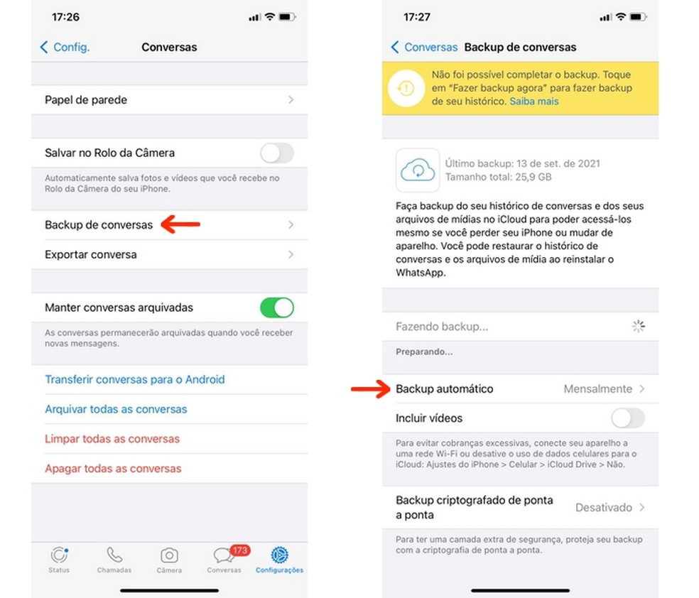 Como parar backup do WhatsApp e excluir arquivo no Google Drive e iCloud