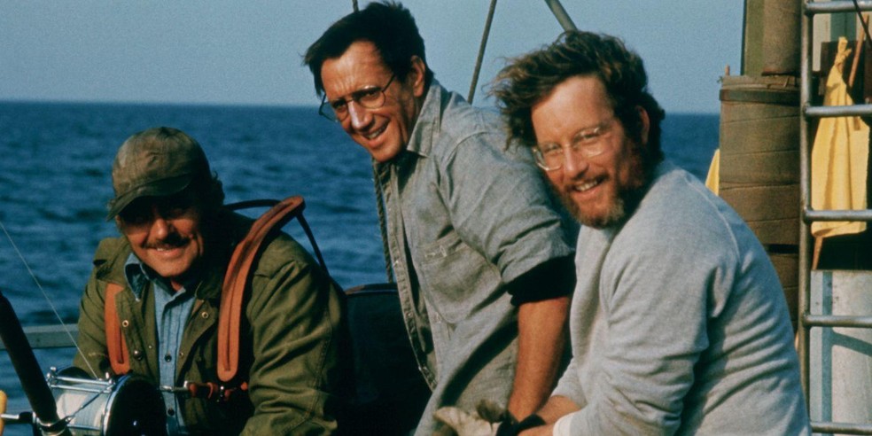 Tubarão, de Steven Spielberg, teve um enorme impacto cinematográfico em sua época — Foto: Reprodução/IMDb