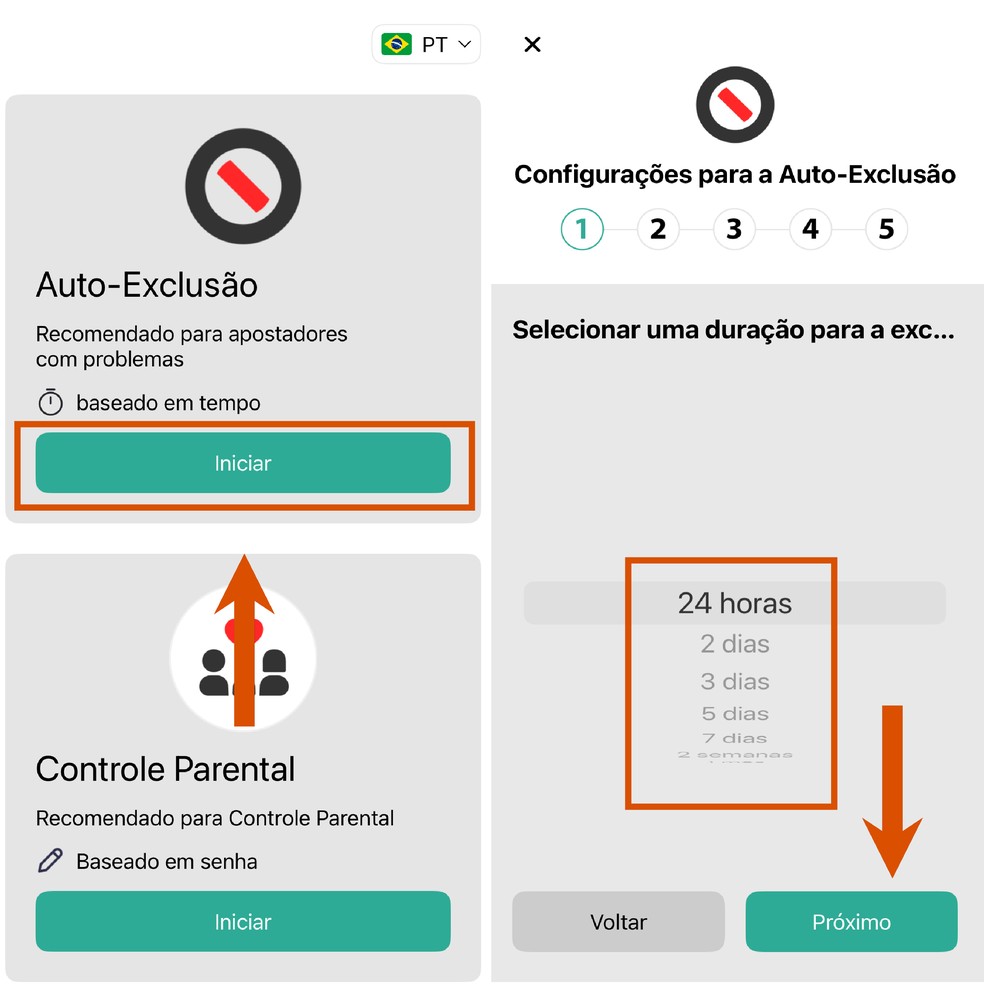  Reprodução/Paola Mansur