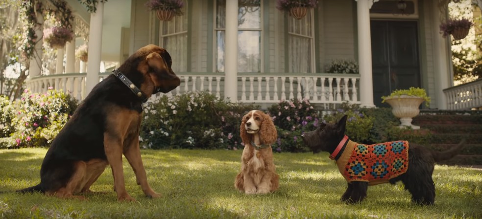  Divulgação/Disney Plus