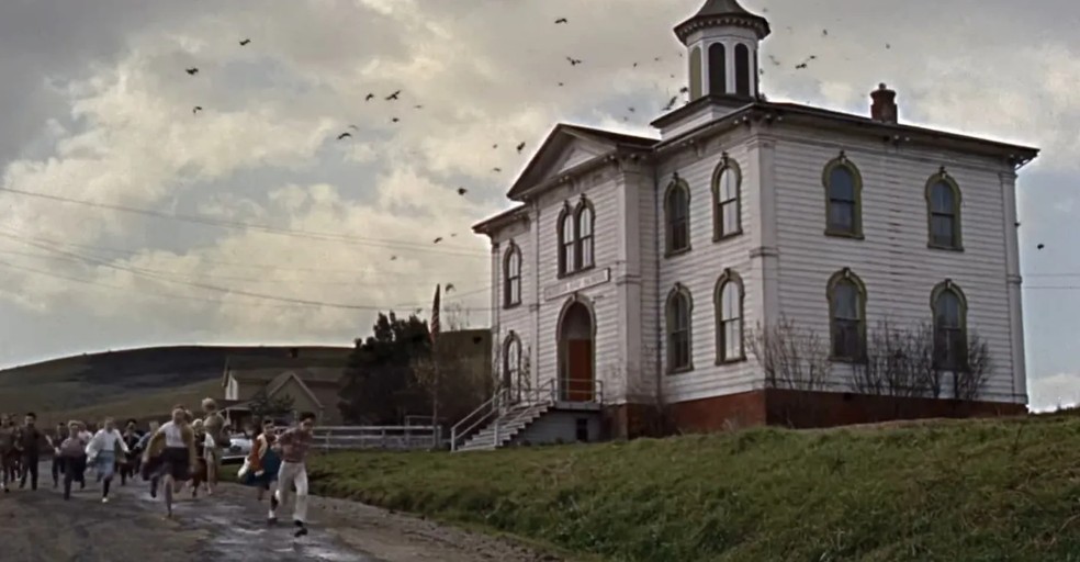 Uma cidade é atacada inexplicavelmente por gaivotas em Os Pássaros — Foto: Reprodução/IMDb