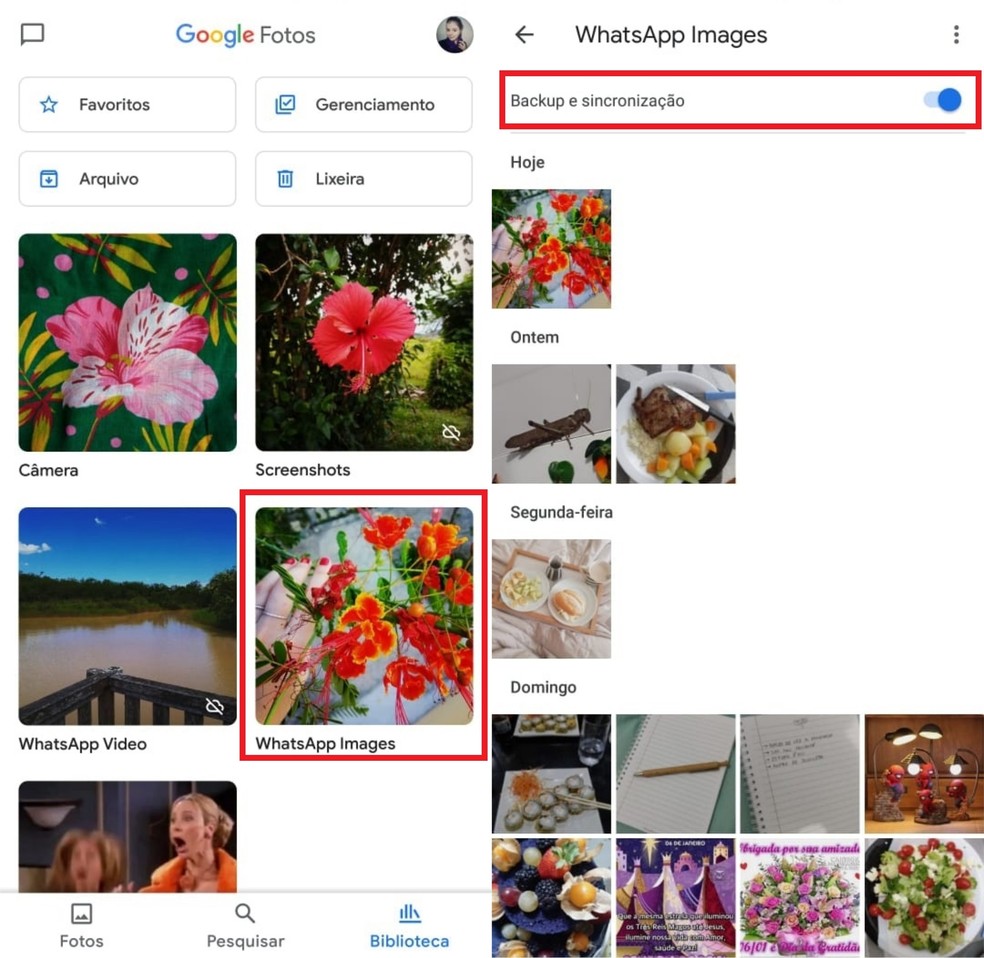 As imagens que são enviadas para mim no WhatsApp não aparecem na pasta do  dispositivo no google foto - Comunidade Google Fotos