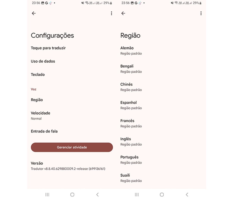 Recurso do Tradutor permite adicionar idioma de acordo com as variações regionais — Foto: Reprodução/Marcela Franco