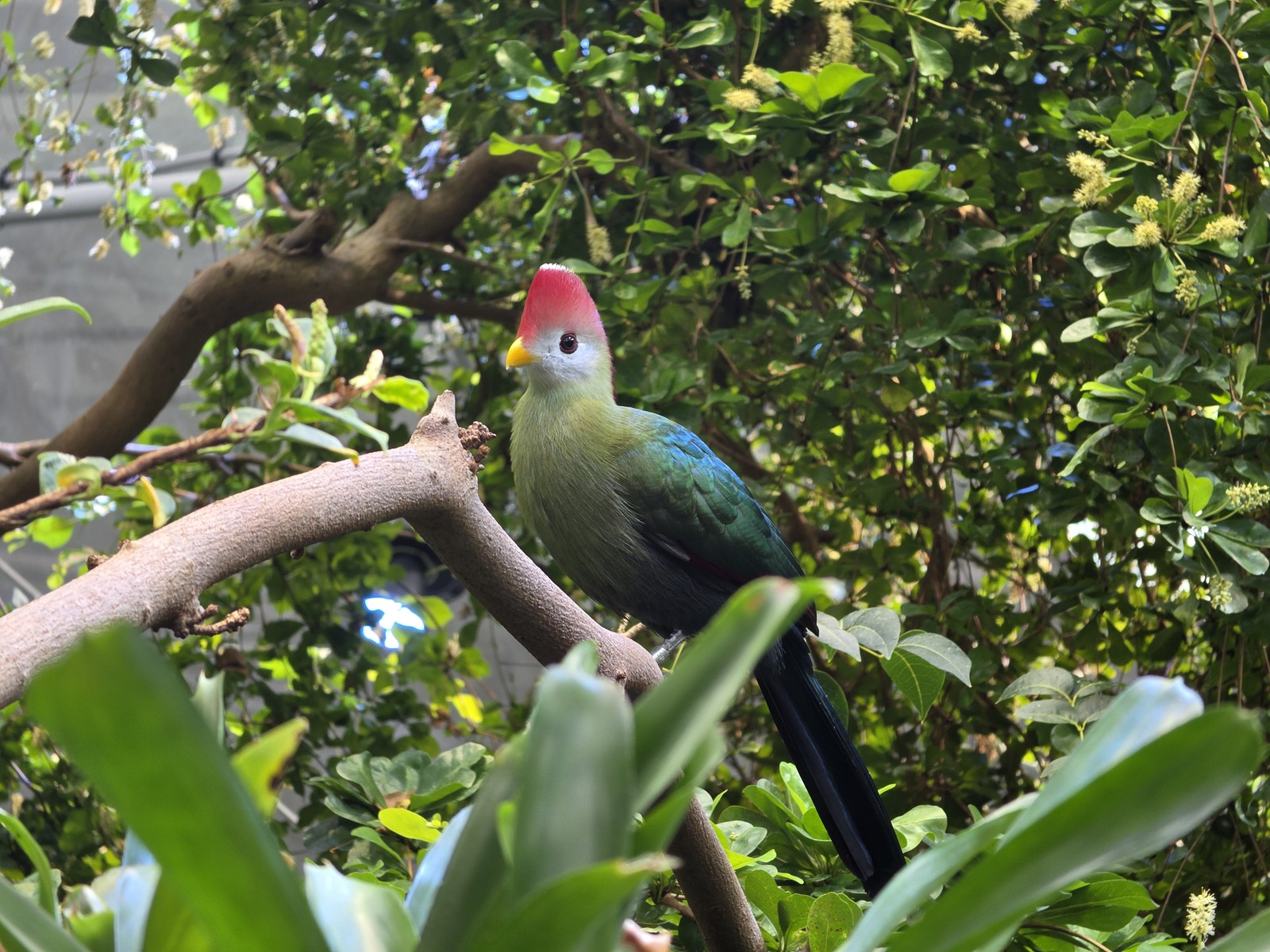  Ana Letícia Loubak/TechTudo