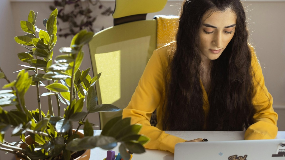 Seu vaso de planta vira um purificador de ar após a rega: entenda como