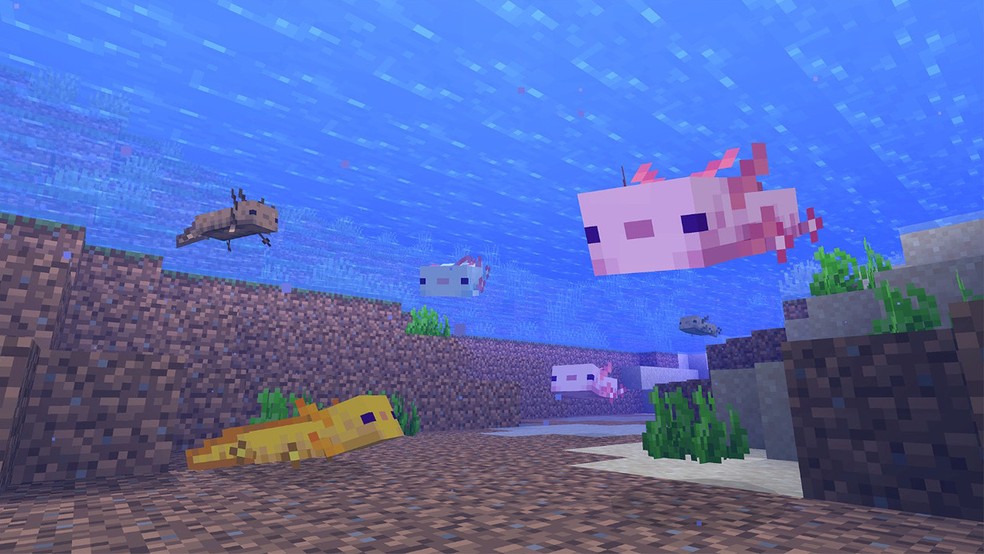 Minecraft: veja como encontrar e domar Axolotes, novas criaturinhas aquáticas — Foto: Divulgação/Mojang Studios