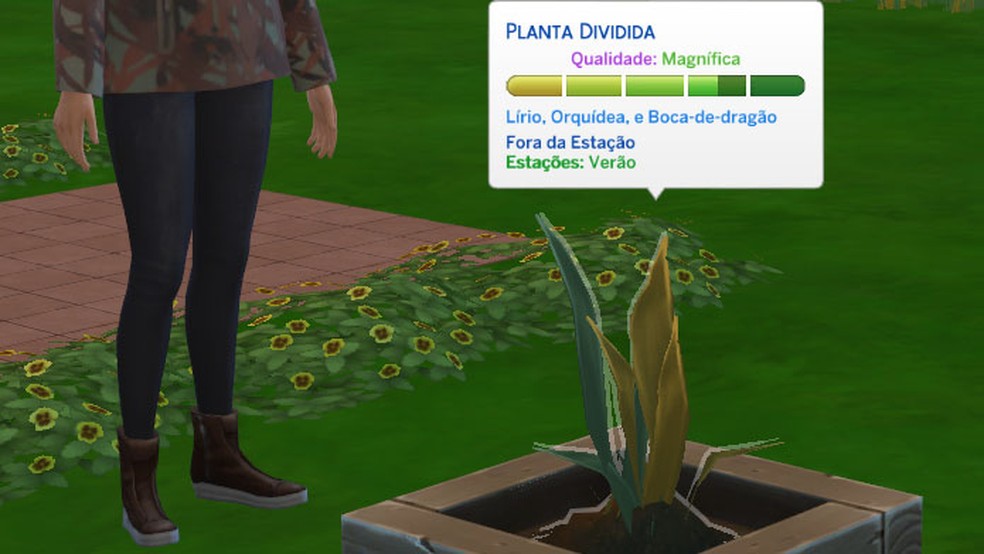 The Sims 4 - Guia de jardinagem do The Sims 4: enxertos, plantas