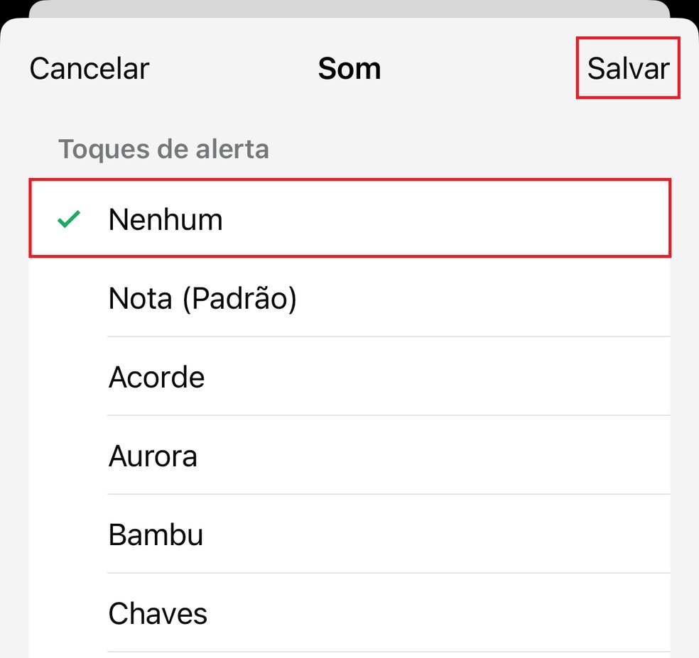 Tirando som de notificação do WhatsApp no iPhone — Foto: Reprodução/Bruno Guerra