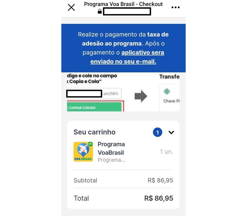 Golpe do Voa Brasil: fraude usa programa do Governo para roubar dinheiro