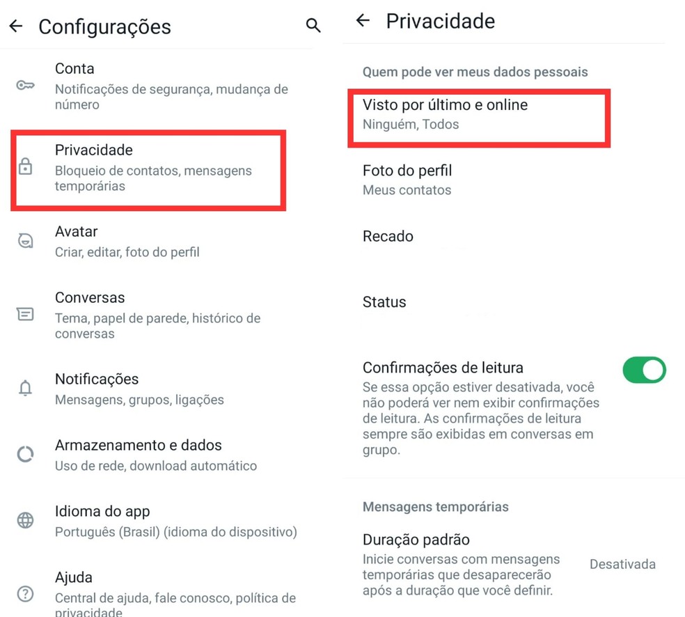 Confira como tirar o "online" do WhatsApp no Android para ter mais privacidade. — Foto: Beatriz Abilio/TechTudo