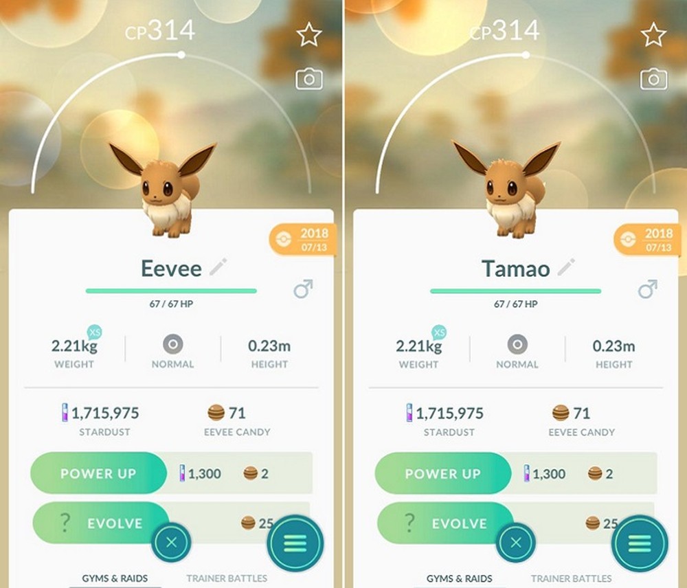 Como evoluir Eevee para Umbreon em Pokémon GO