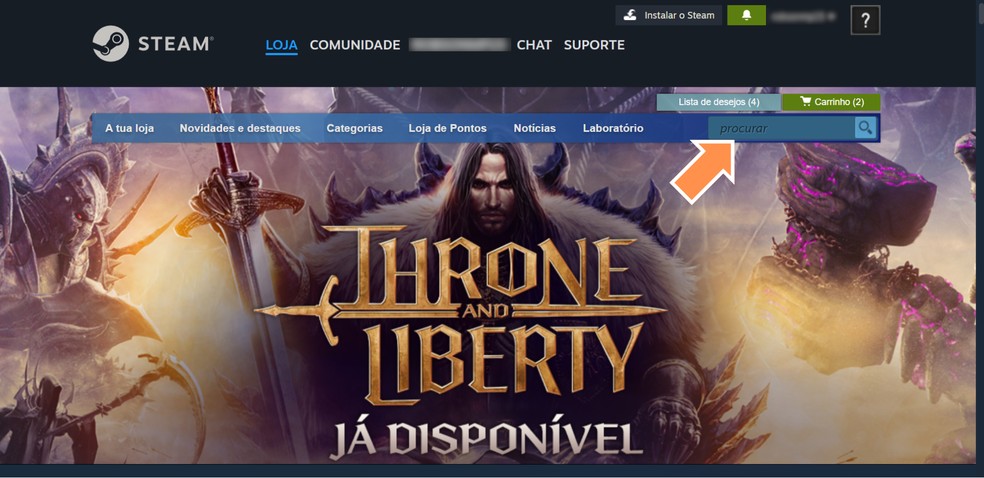 Acesse o Steam — Foto: Reprodução/Róbson Martins