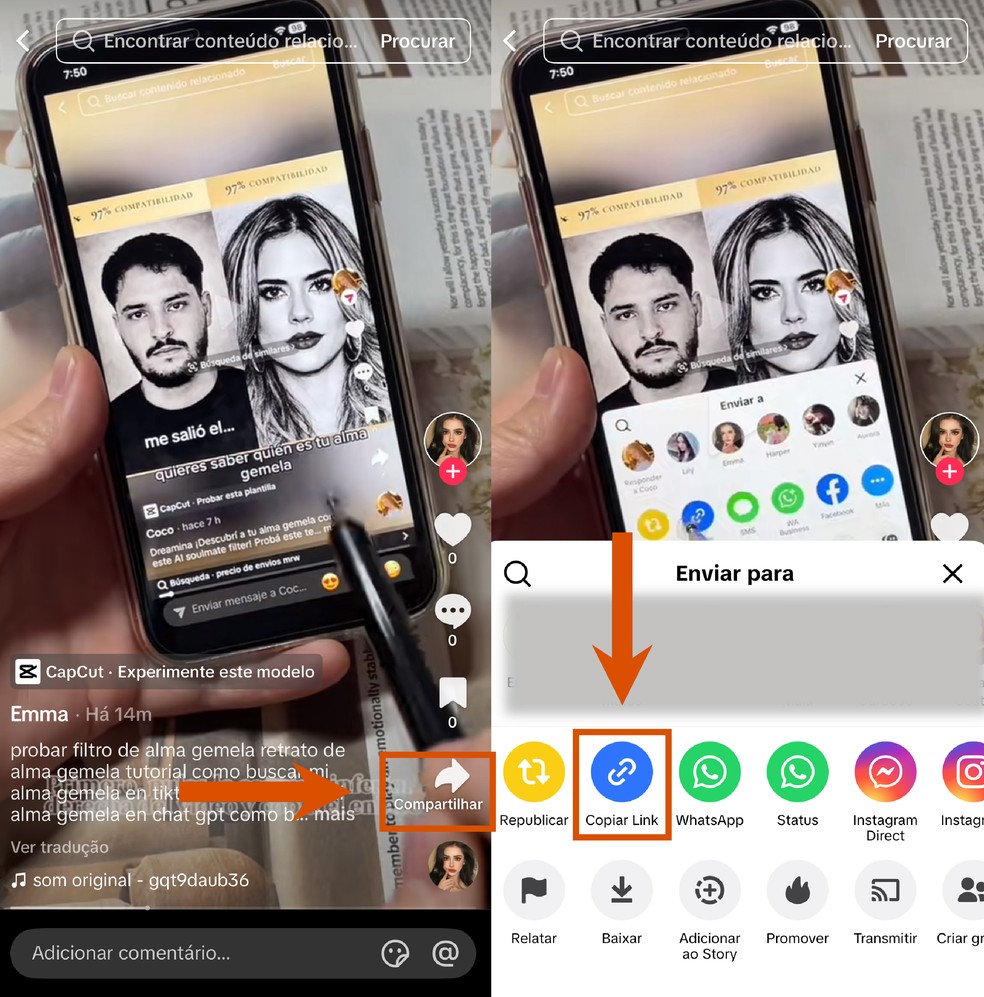  Reprodução/Paola Mansur