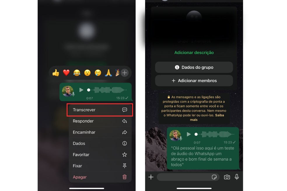 A transcrição do áudio do WhatsApp aparece logo abaixo da mensagem — Foto: Reprodução/João Pedro Lima