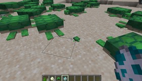 Como ter e criar tartarugas no Minecraft