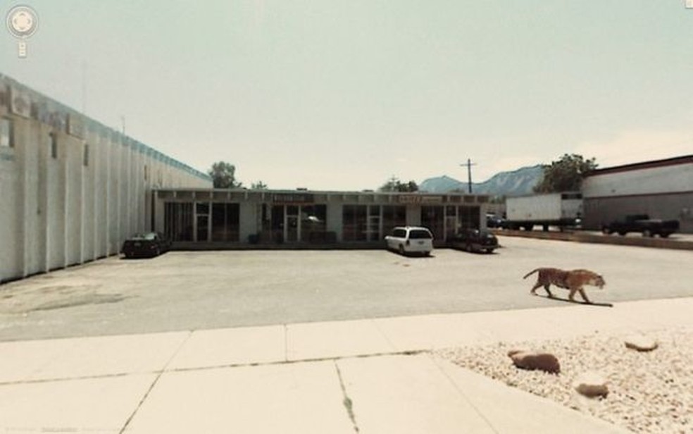 Esqueleto de serpente gigante de 130 m assusta internautas pelo Google  Street View, Curiosidades