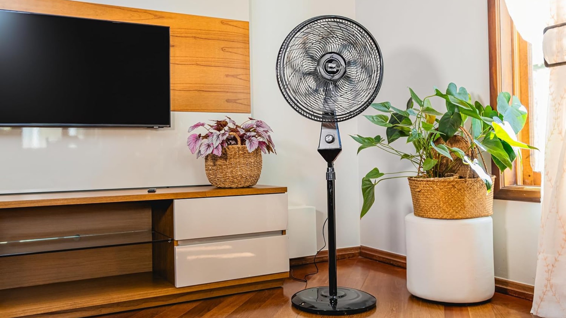 Esses ventiladores são boas opções para o clima indeciso do outono