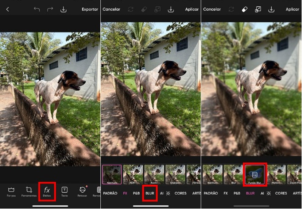  Reprodução/Gabriel Iquegami